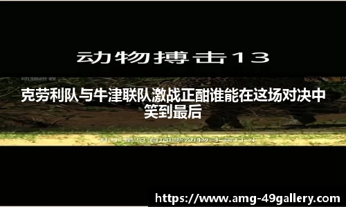 49图库首页