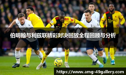 49图库官网首页